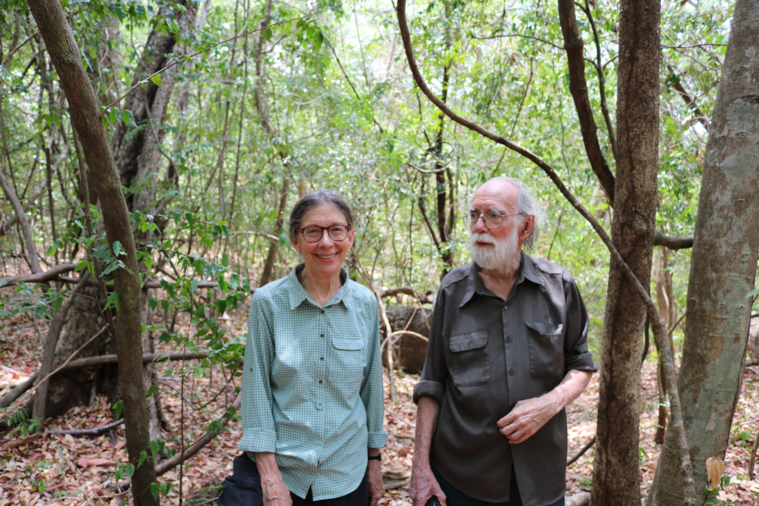 Энтомологи бьют тревогу: насекомые исчезают с лица Земли - 5 Джензен и Халлвахс утверждают, что, хотя отсутствие насекомых в районах с интенсивным использованием пестицидов хорошо задокументировано, их исчезновение в охраняемых районах является относительно новым явлением