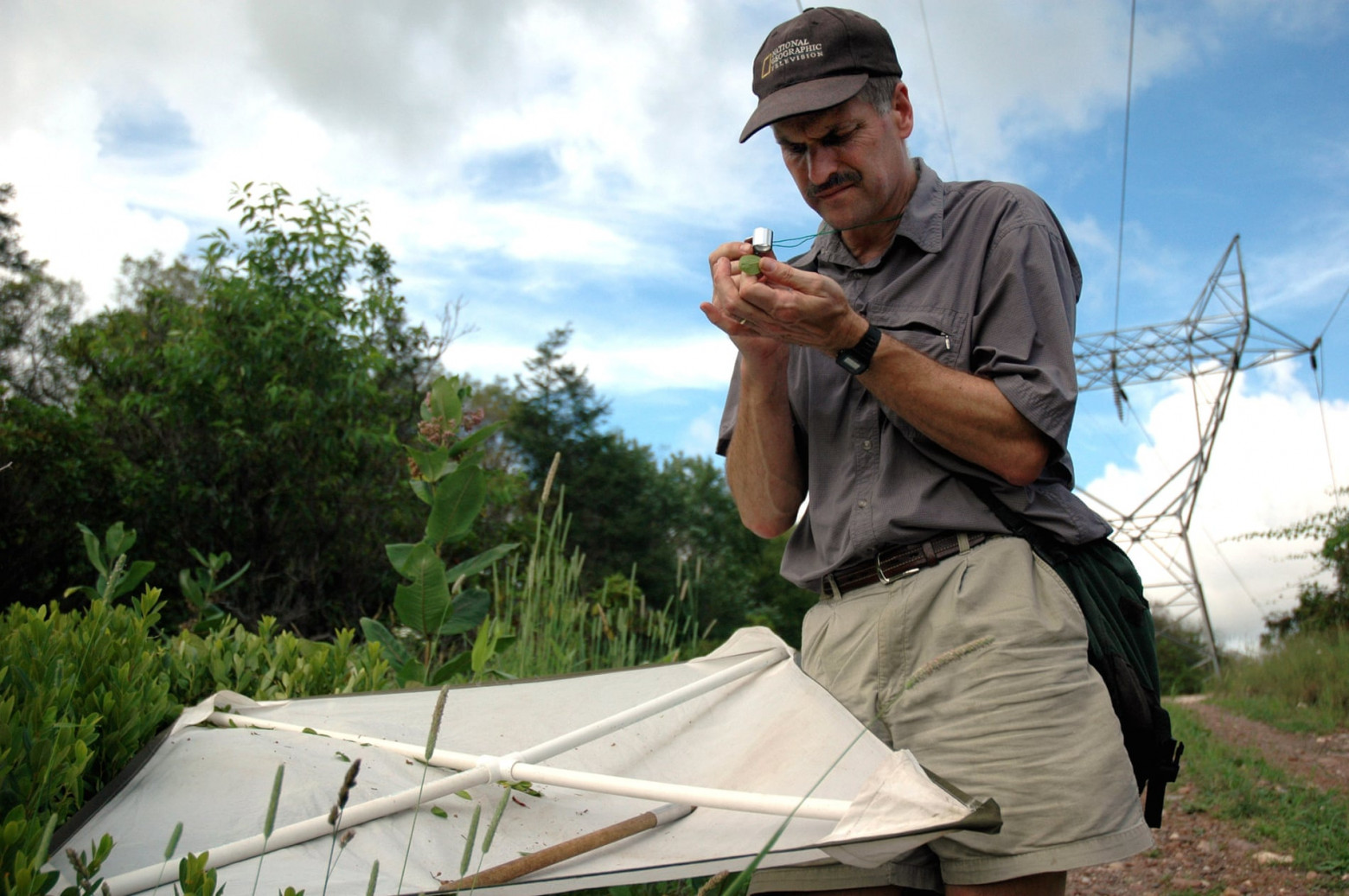 Дэвид Вагнер говорит, что в Техасе «просто не было никаких насекомых»