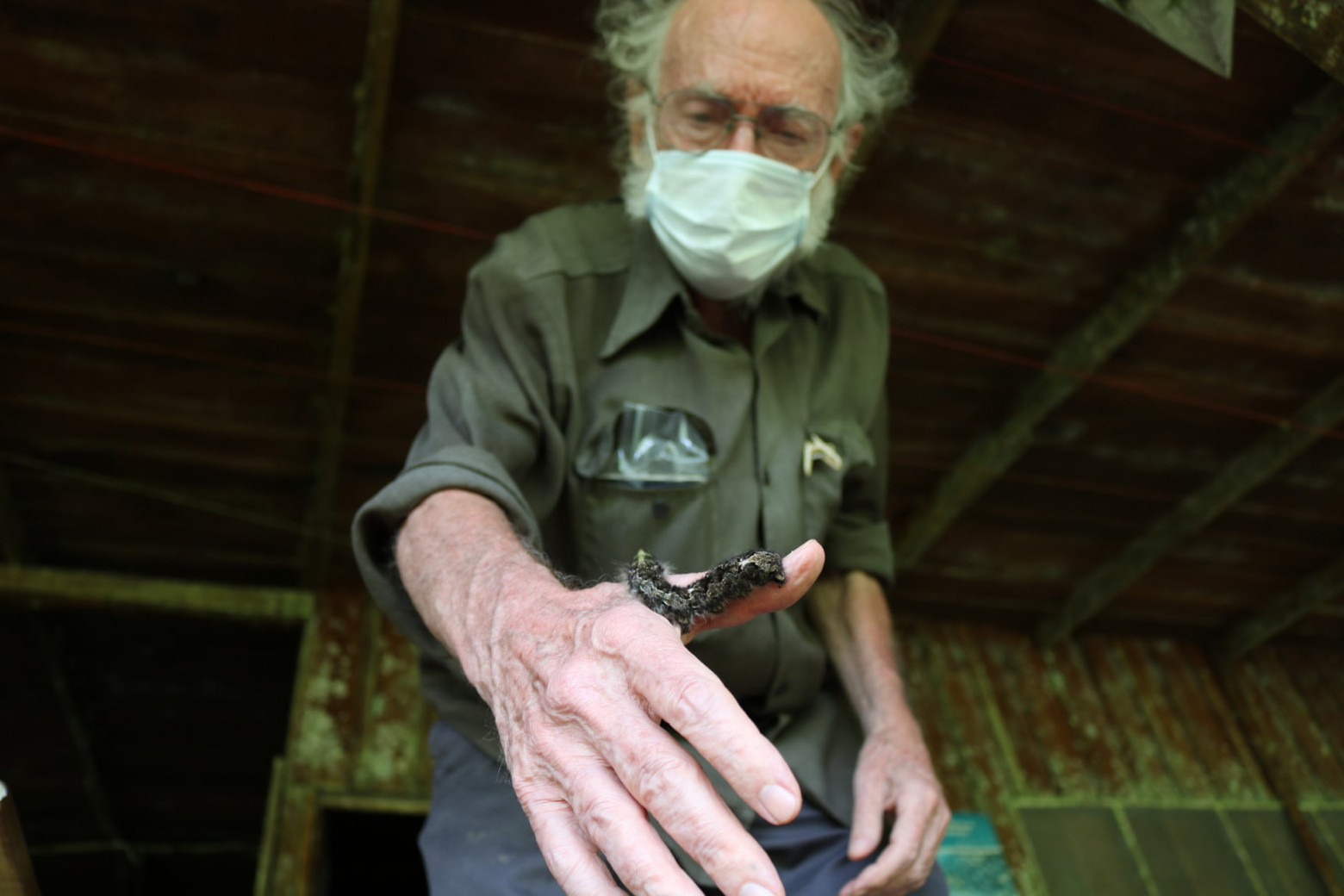 Дэниел Янзен с 1970-х годов занимается мониторингом насекомых в заповедной зоне Гуанакасте в Коста-Рике. Он говорит, что видел, как биоразнообразие разрушается даже в нетронутых средах