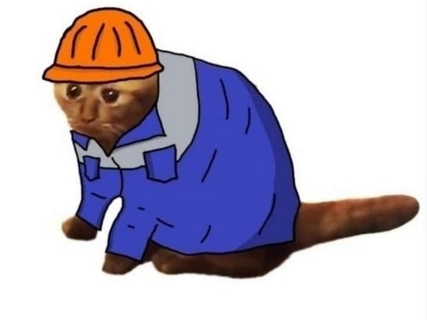 Рассказ про кота заводчанина - 3