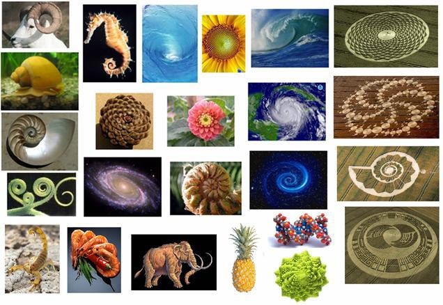 Оно повсюду!