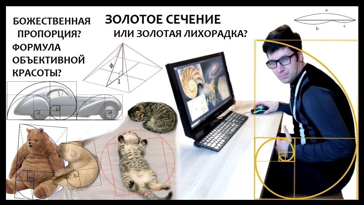 Золотое сечение – универсальная формула красоты и вселенской гармонии или маркетинговая уловка? - 1