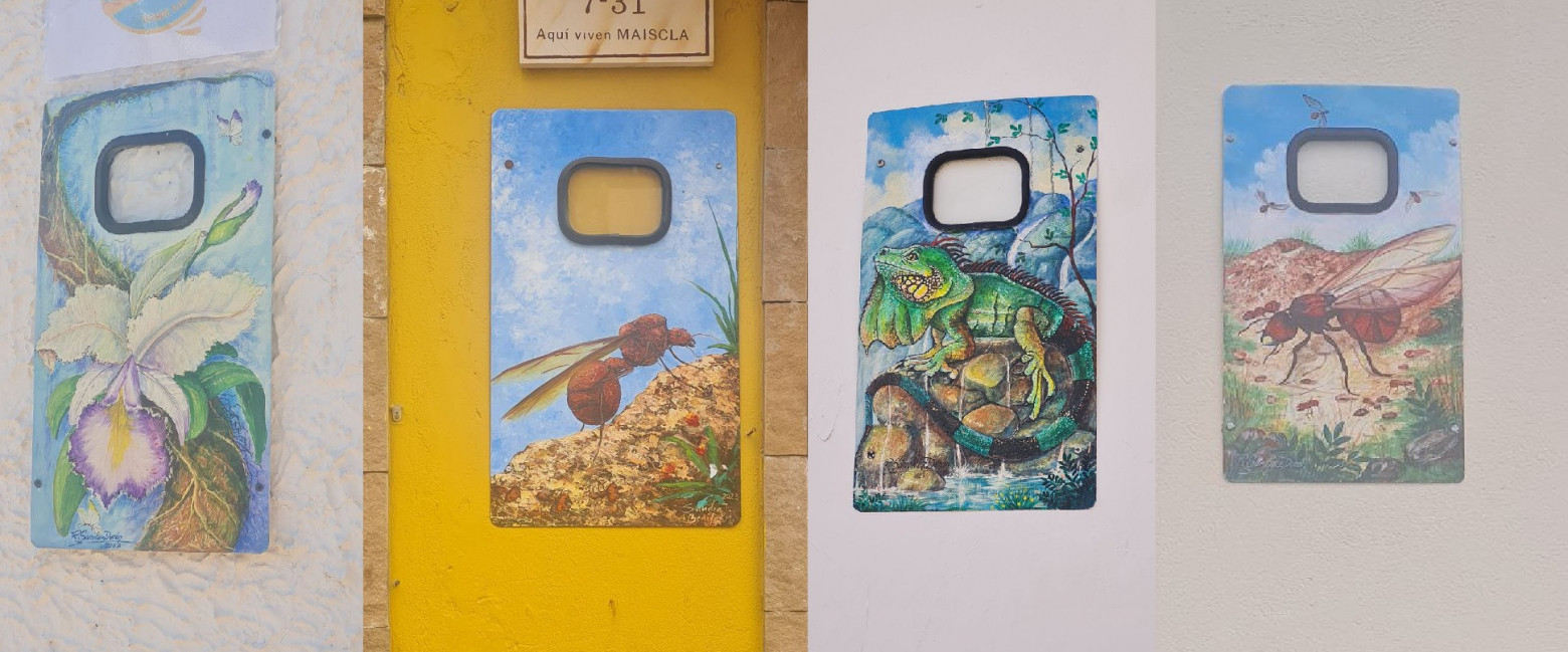 Искусство ради искусства: эти дверцы прибиты к стене просто для красоты.