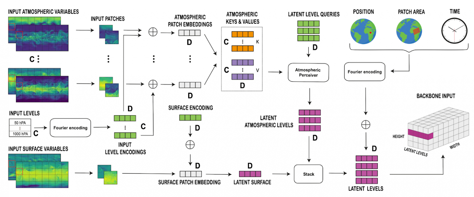 Кодировщик модели Aurora (изображение из оригинальной статьи) 