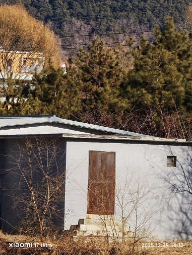 Xiaomi 17 Ultra против Samsung Galaxy S25 Ultra. Появилось наглядное сравнение камер двух флагманов