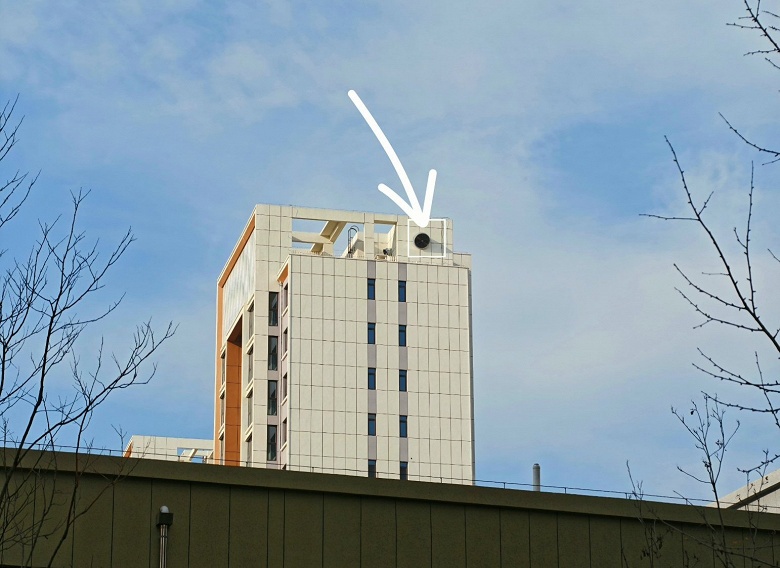 Xiaomi 17 Ultra против Samsung Galaxy S25 Ultra. Появилось наглядное сравнение камер двух флагманов