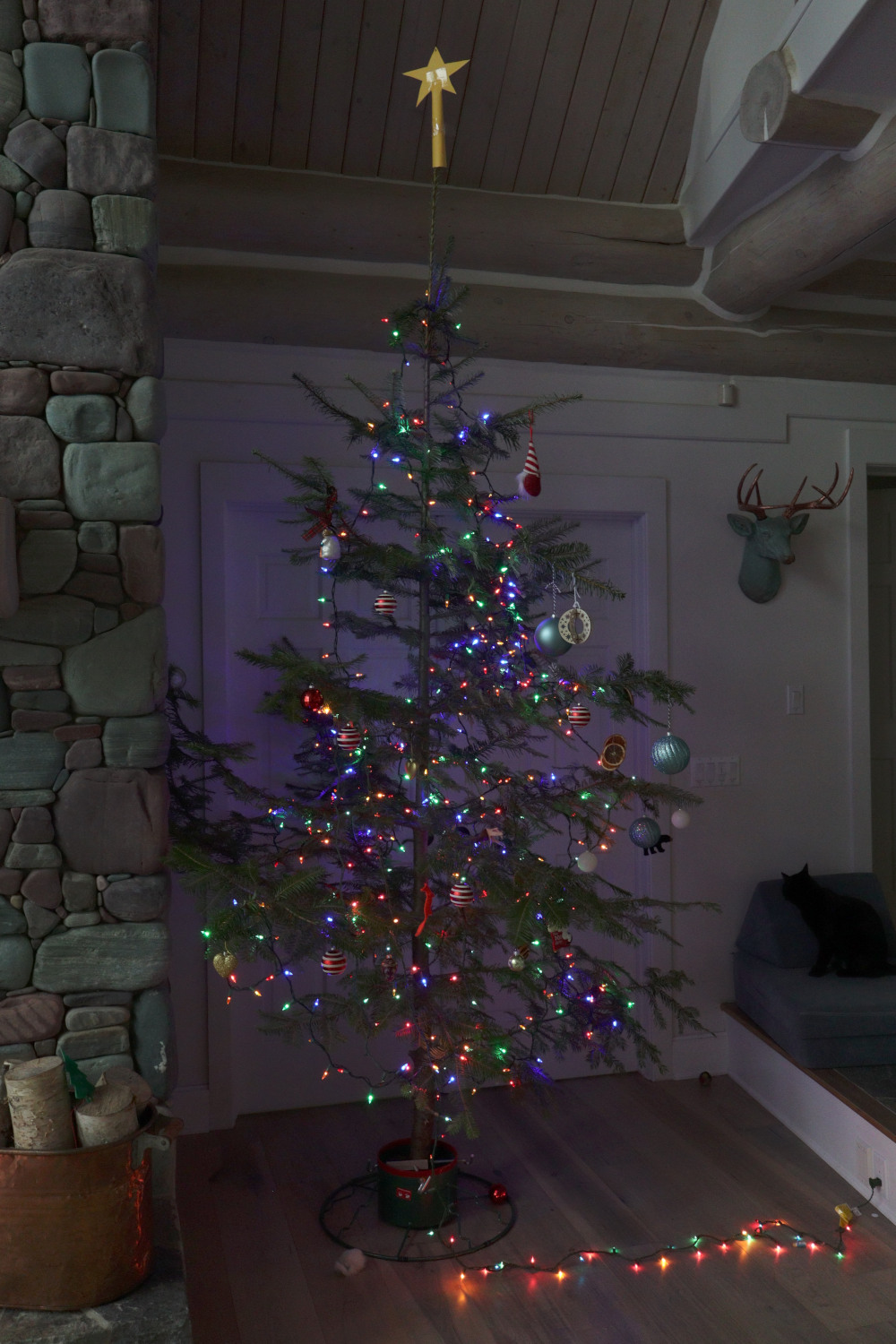 Изображение JPEG «из камеры»