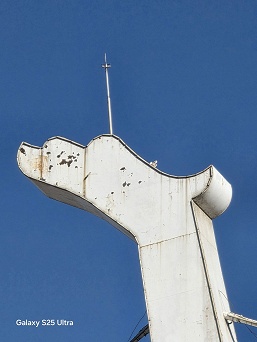 Xiaomi 17 Ultra против Samsung Galaxy S25 Ultra, iPhone 17 Pro Max и OnePlus 15. Опубликованы фото, сделанные этими смартфонами с зумом 10х и 20х