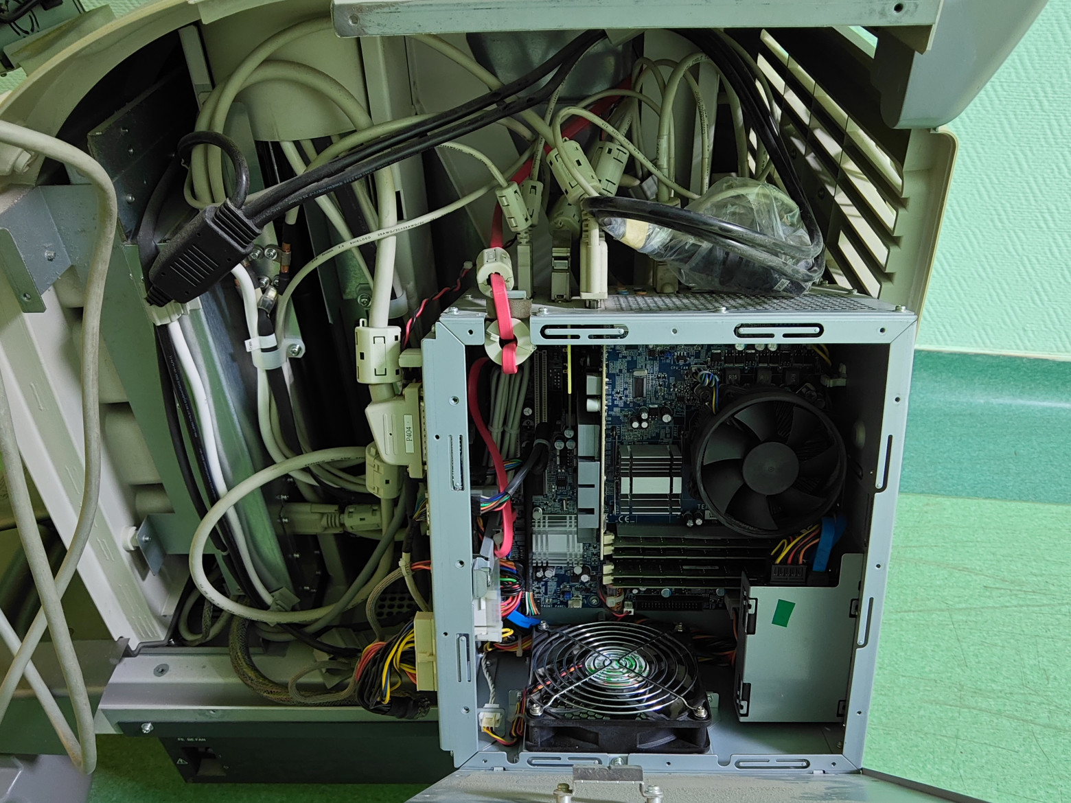 Нож мне в печень, 775 вечен (c)