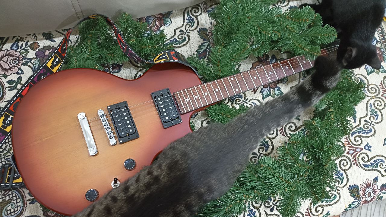 Шашечки или ехать: насколько плох Epiphone Les Paul Special, и как сделать его лучше? - 1