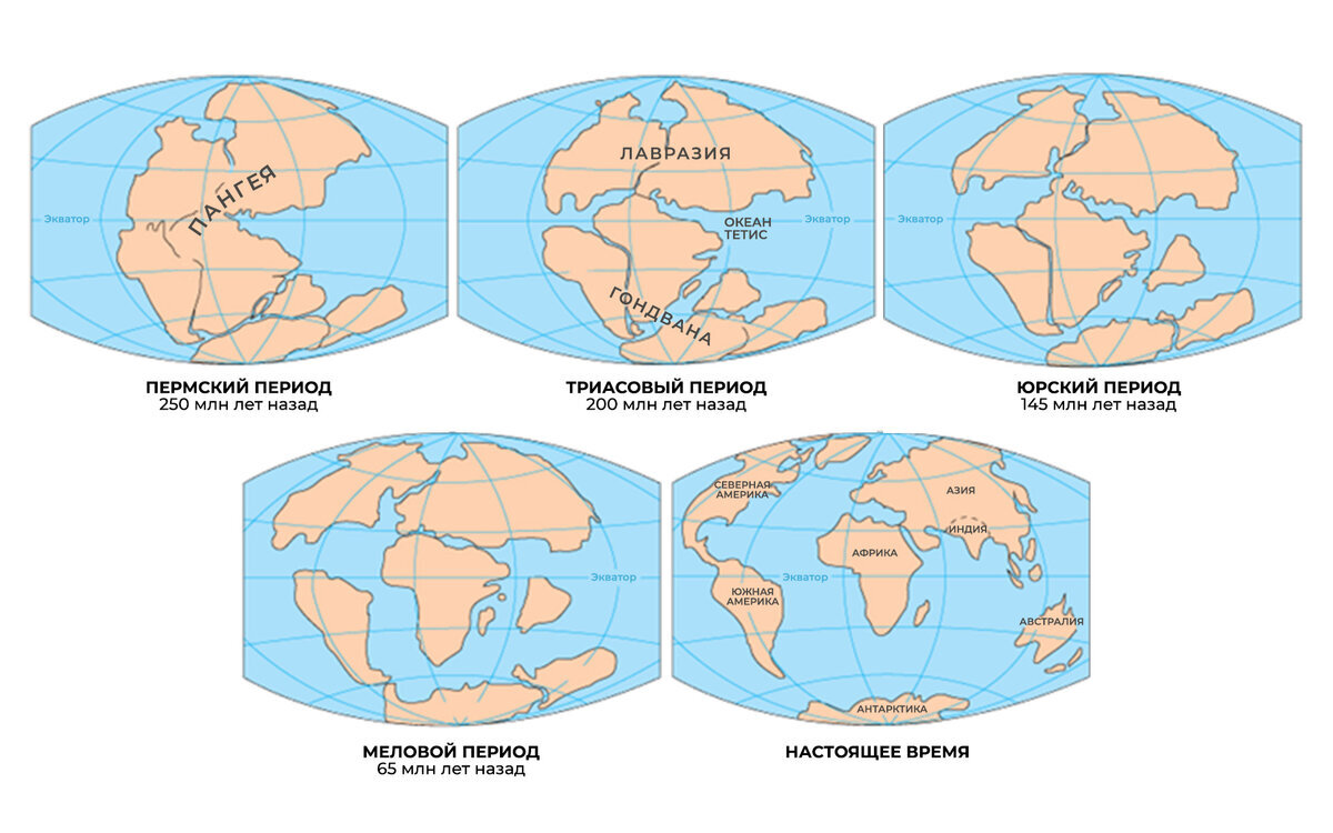 На поверку континенты оказались еще теми путешественниками по планете  
