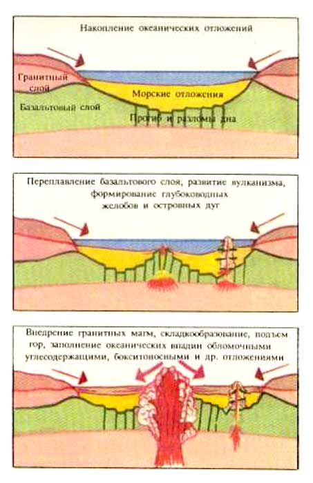 Схема развития геосинклинали  