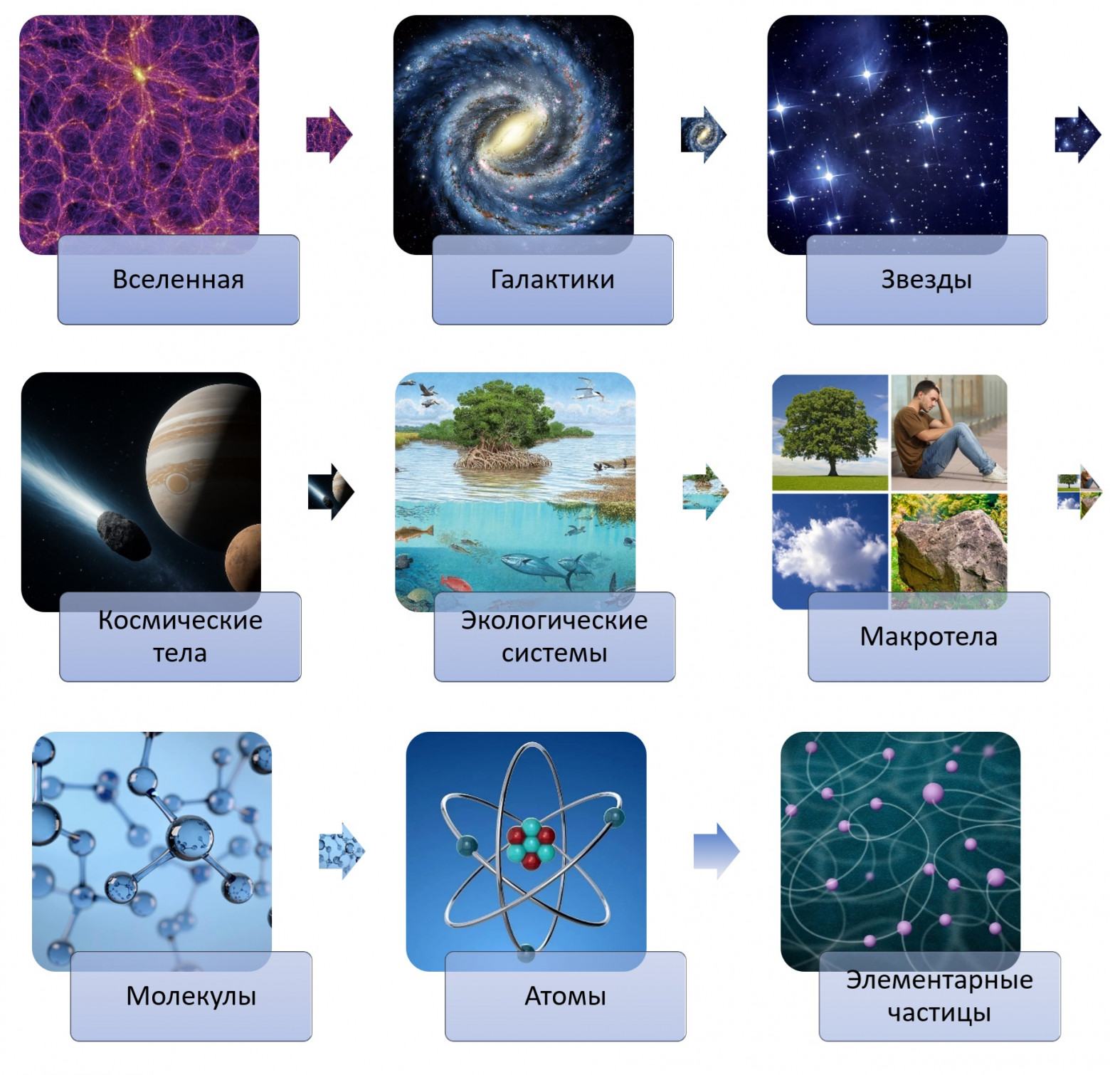 Иерархия природы по масштабу ее систем  