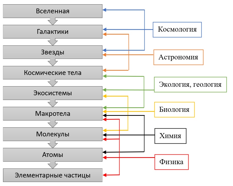 Области интересов наук пересекаются, и это естественно — природа не любит четких границ  