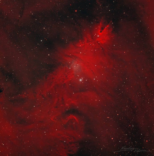 Туманность «Рождественская ёлка» показали на эффектном снимке - 1 Туманность «Рождественская ёлка» показали на эффектном снимке