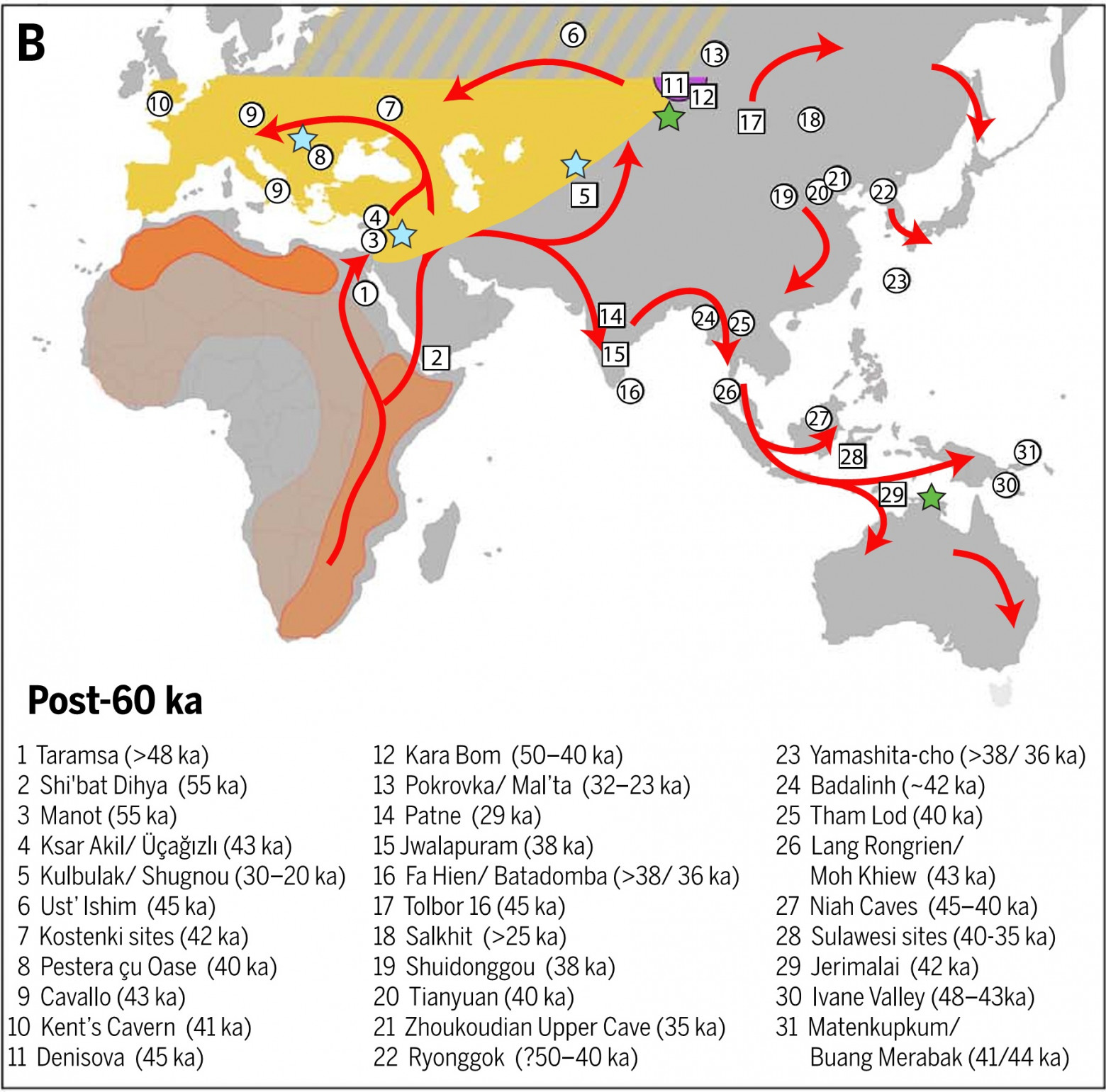 В. Карта мест находок костных останков, относимых к сапиенсам (цифры в кружочках) и археологических следов сапиенсов без костных останков (цифры в квадратиках), датировки после 60 тыс. лет назад. Стрелки указывают пути миграций (60-30 тыс. лет назад). Желтым цветом обозначен ареал неандертальцев, оранжевым – ареал ранних сапиенсов. Голубые звездочки указывают места метисации сапиенсов с неандертальцами, зеленые звездочки — места метисации сапиенсов с денисовцами.  