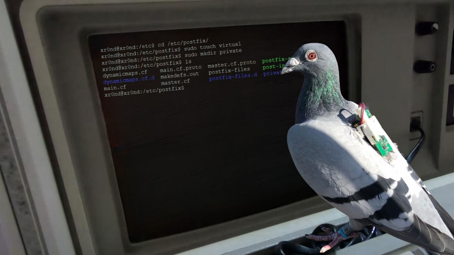 Как устроена электронная почта на VPS: основы SMTP, IMAP и POP3 - 1