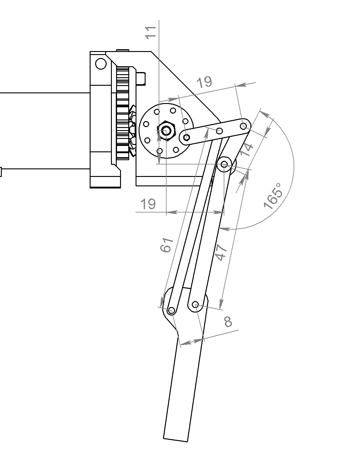 Передняя нога, реальные размеры