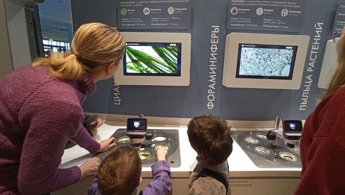 Планета океан Калининград - 10