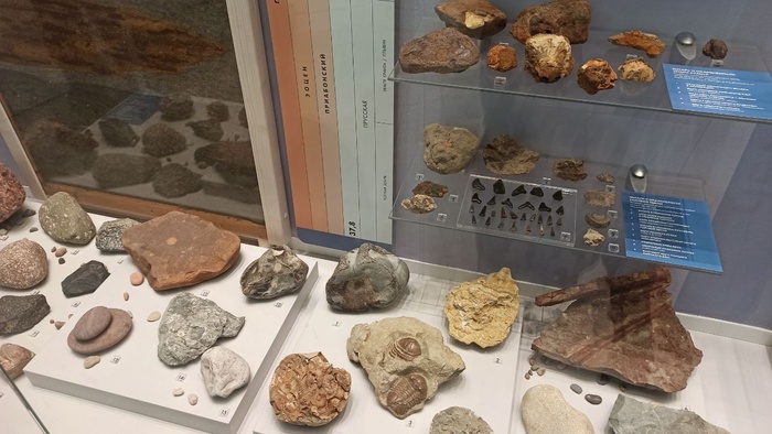 Планета океан Калининград - 11