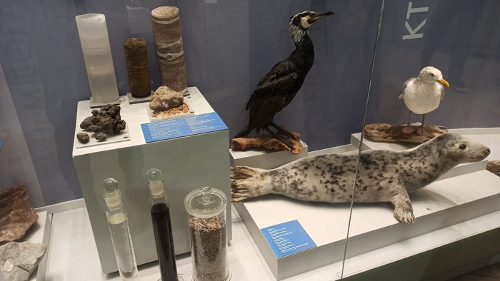 Планета океан Калининград - 12