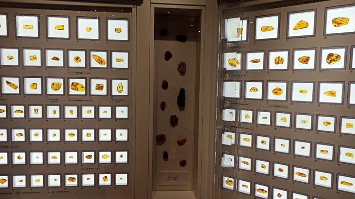 Планета океан Калининград - 13