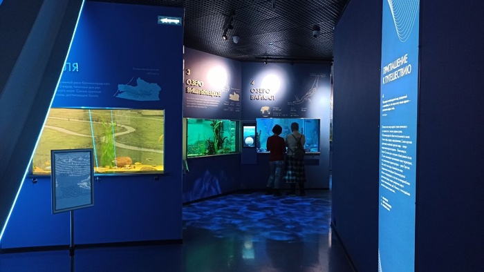 Планета океан Калининград - 15