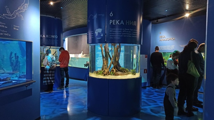 Планета океан Калининград - 16