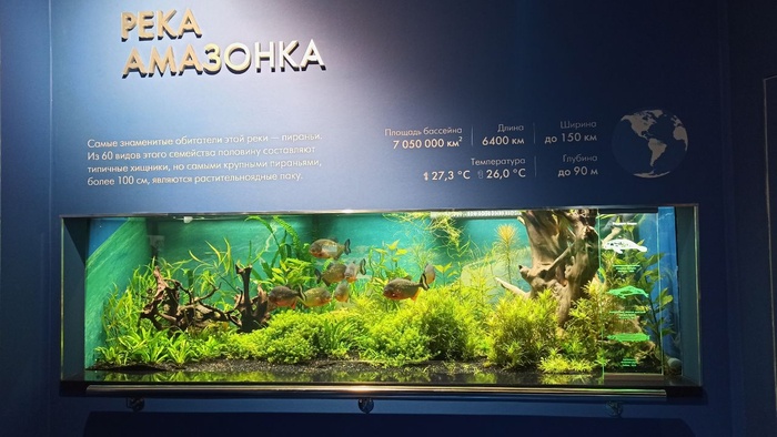 Планета океан Калининград - 17