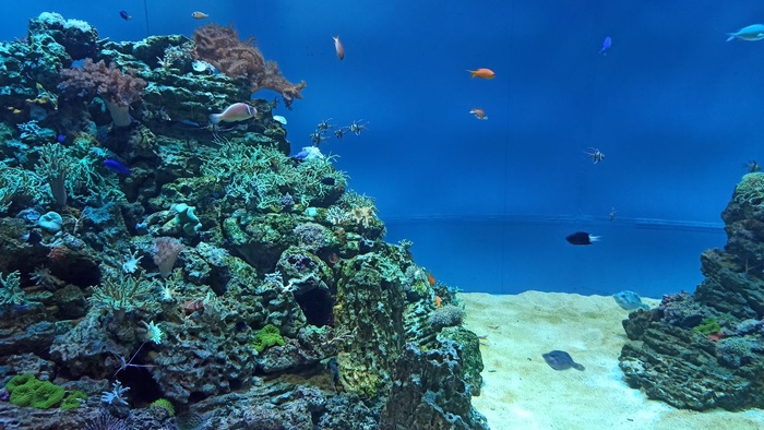 Планета океан Калининград - 19