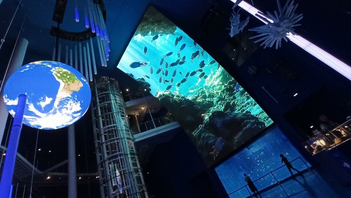 Планета океан Калининград - 24