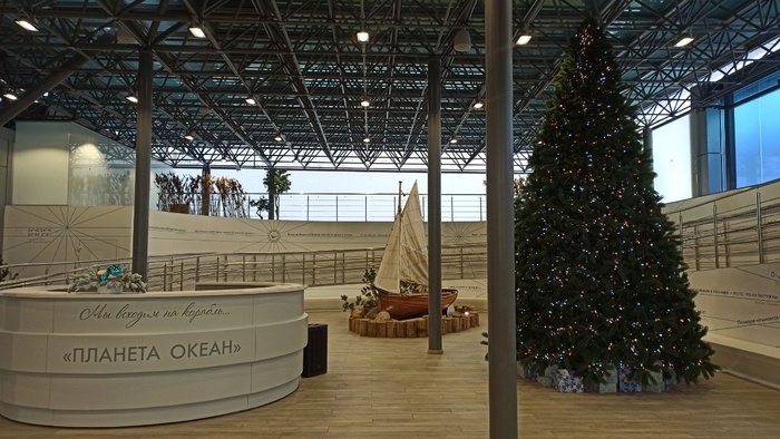 Планета океан Калининград - 5