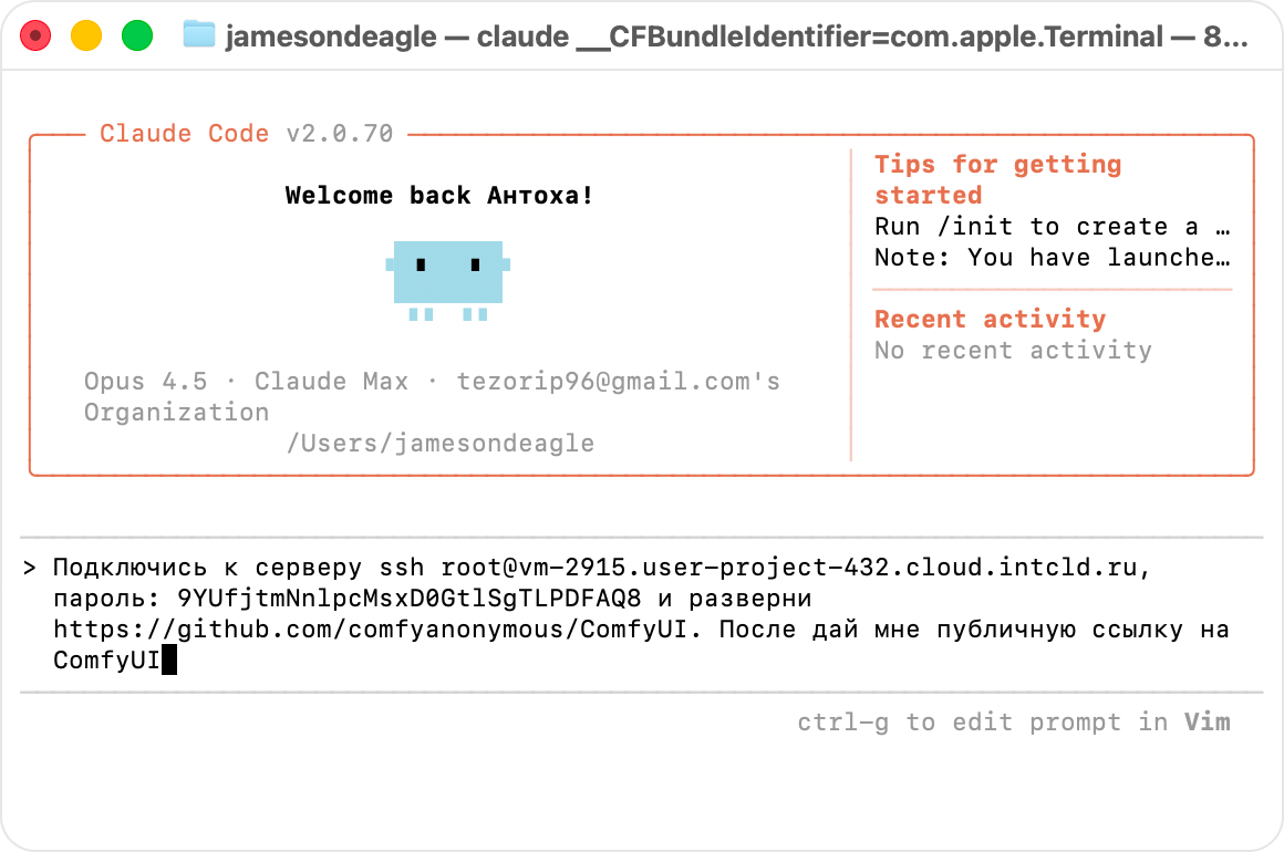 Как развернуть что угодно с ИИ-агентами, даже ComfyUI с жирными моделями - 4