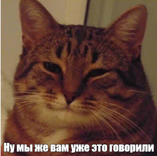 Как я решил проблему длинных совещаний вайбкодингом и китайской видеокартой - 2