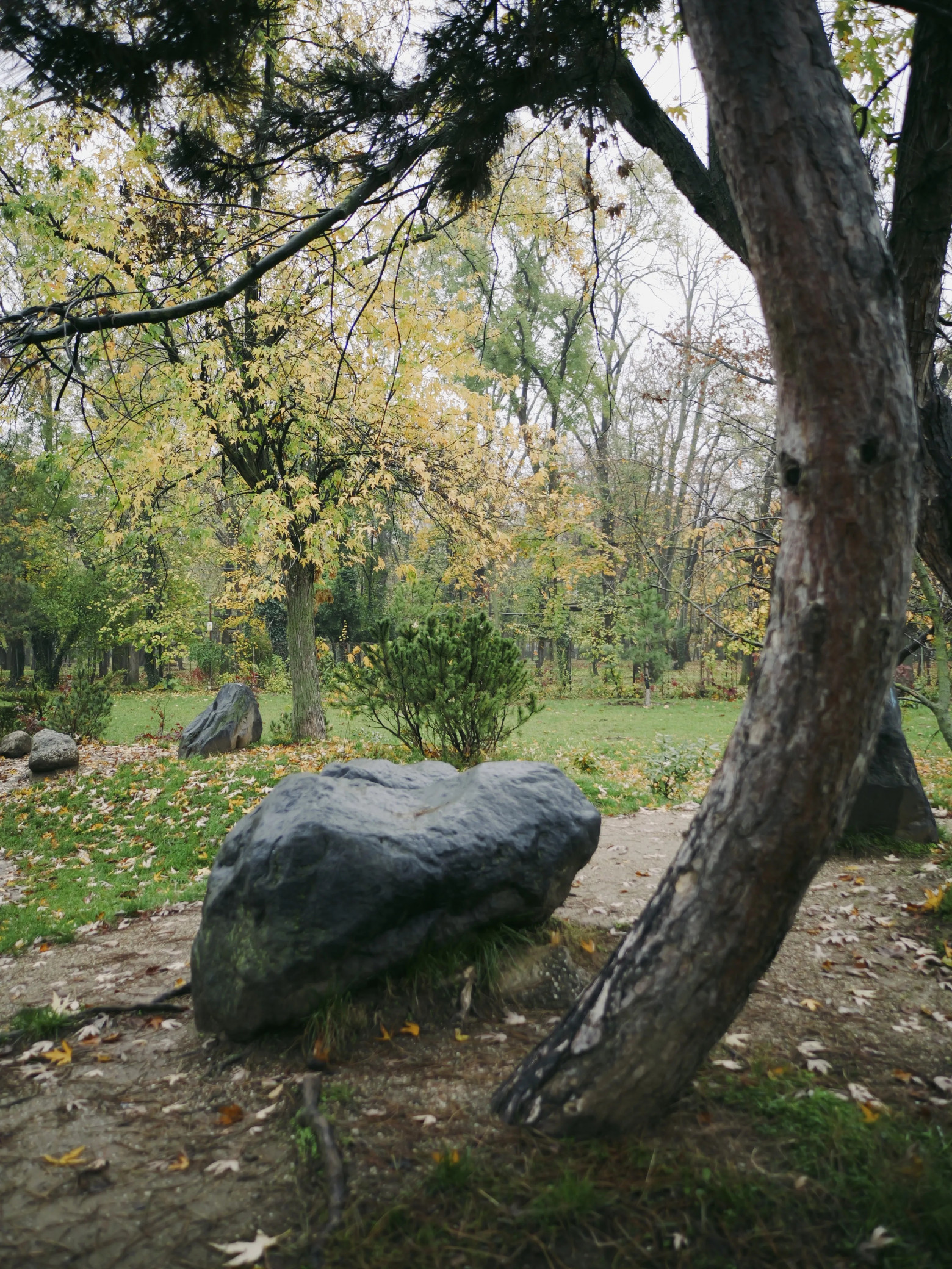 Я мечтал о фотоаппарате, которого не существует, поэтому создал его сам - 36