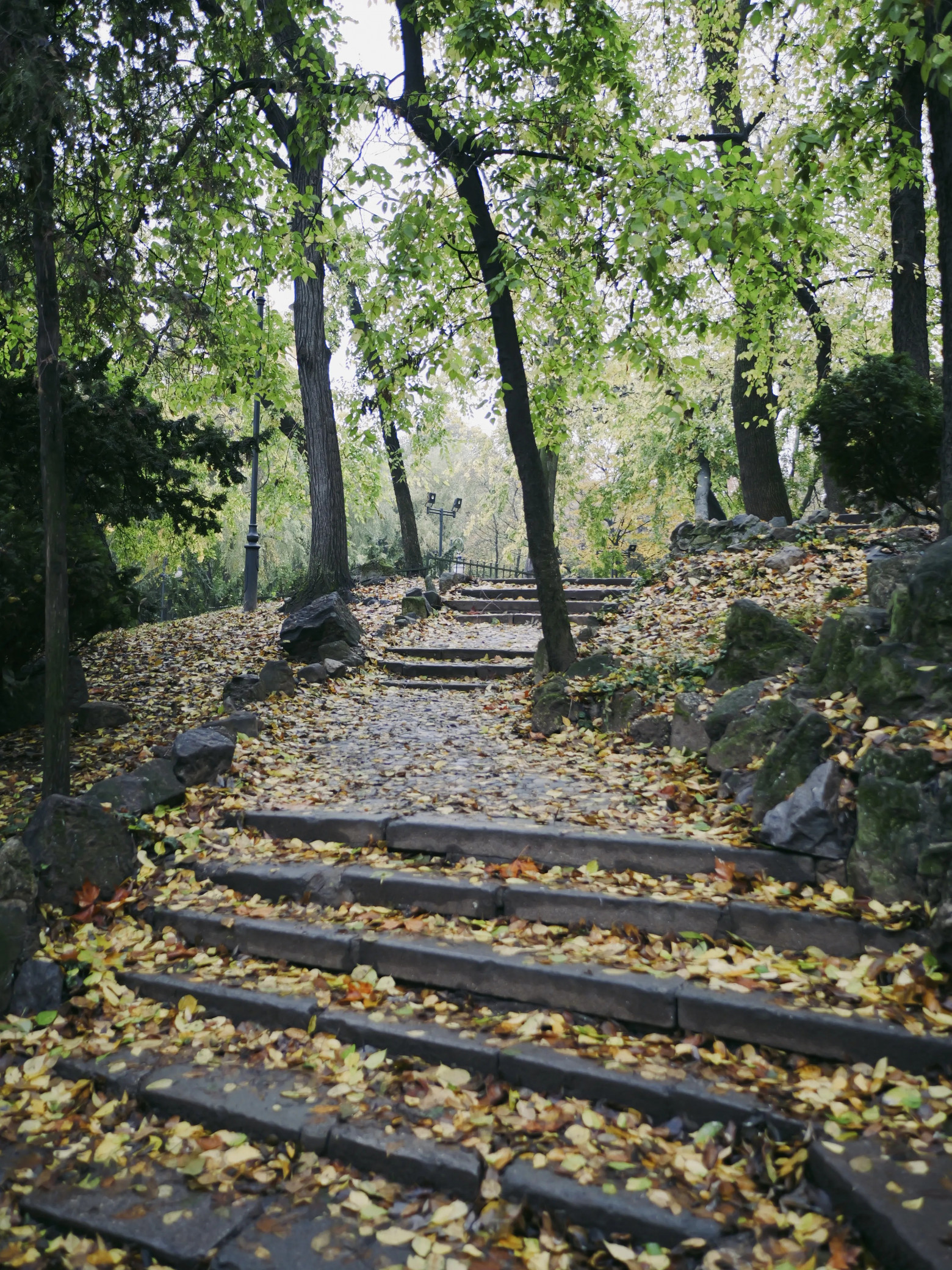 Я мечтал о фотоаппарате, которого не существует, поэтому создал его сам - 38
