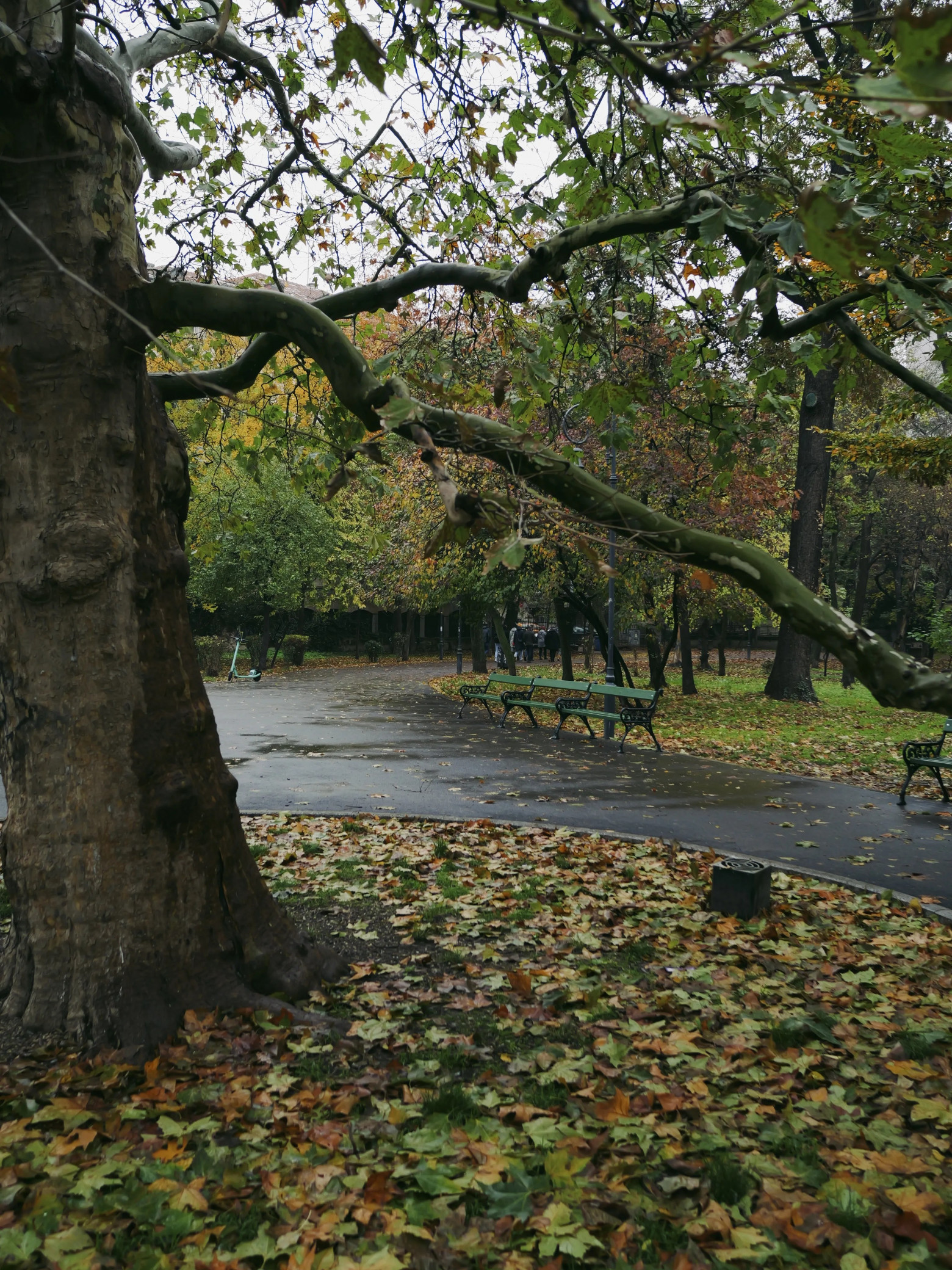 Я мечтал о фотоаппарате, которого не существует, поэтому создал его сам - 39