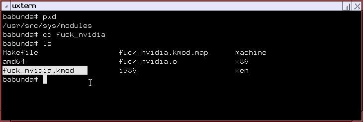 NetBSD и NVIDIA Optimus - 7