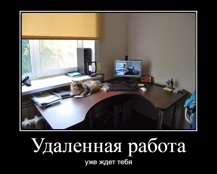 Боремся с отвлекающими факторами удаленки. Часть 2 - 1 Боремся с отвлекающими факторами удаленки. Часть 2 - 1