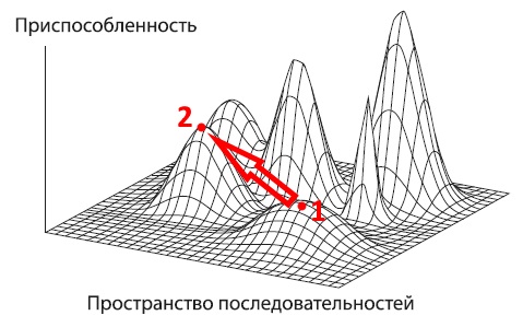 Адаптивный ландшафт