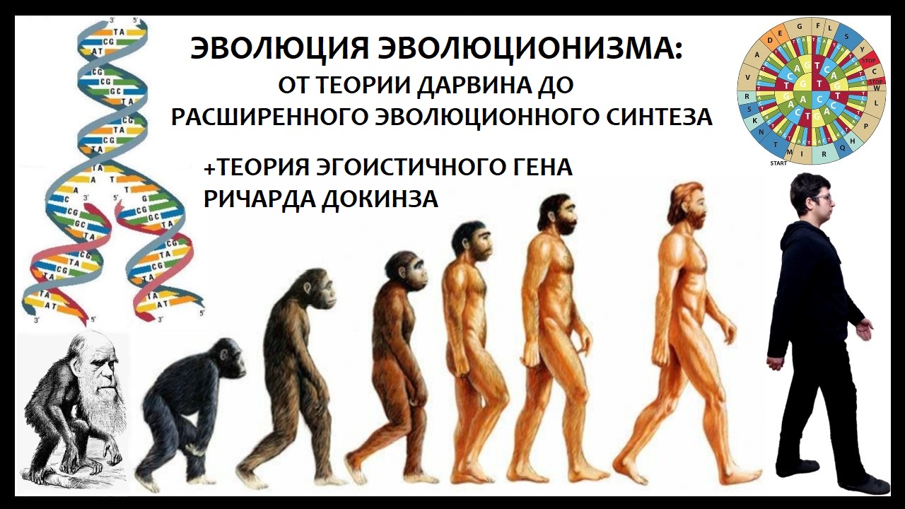 Эволюция теории эволюции: неодарвинизм, СТЭ, эпигенетика. Теория Дарвина устарела? - 1