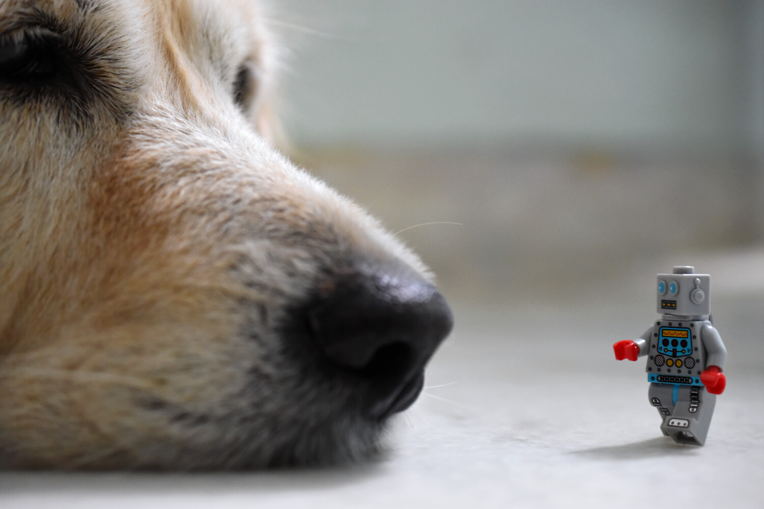 Изображение: Gobi (CC BY 2.0)