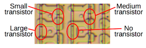 A closeup of the 8087's microcode ROM shows four different transistor sizes. This allows the ROM to store two bits per cell.