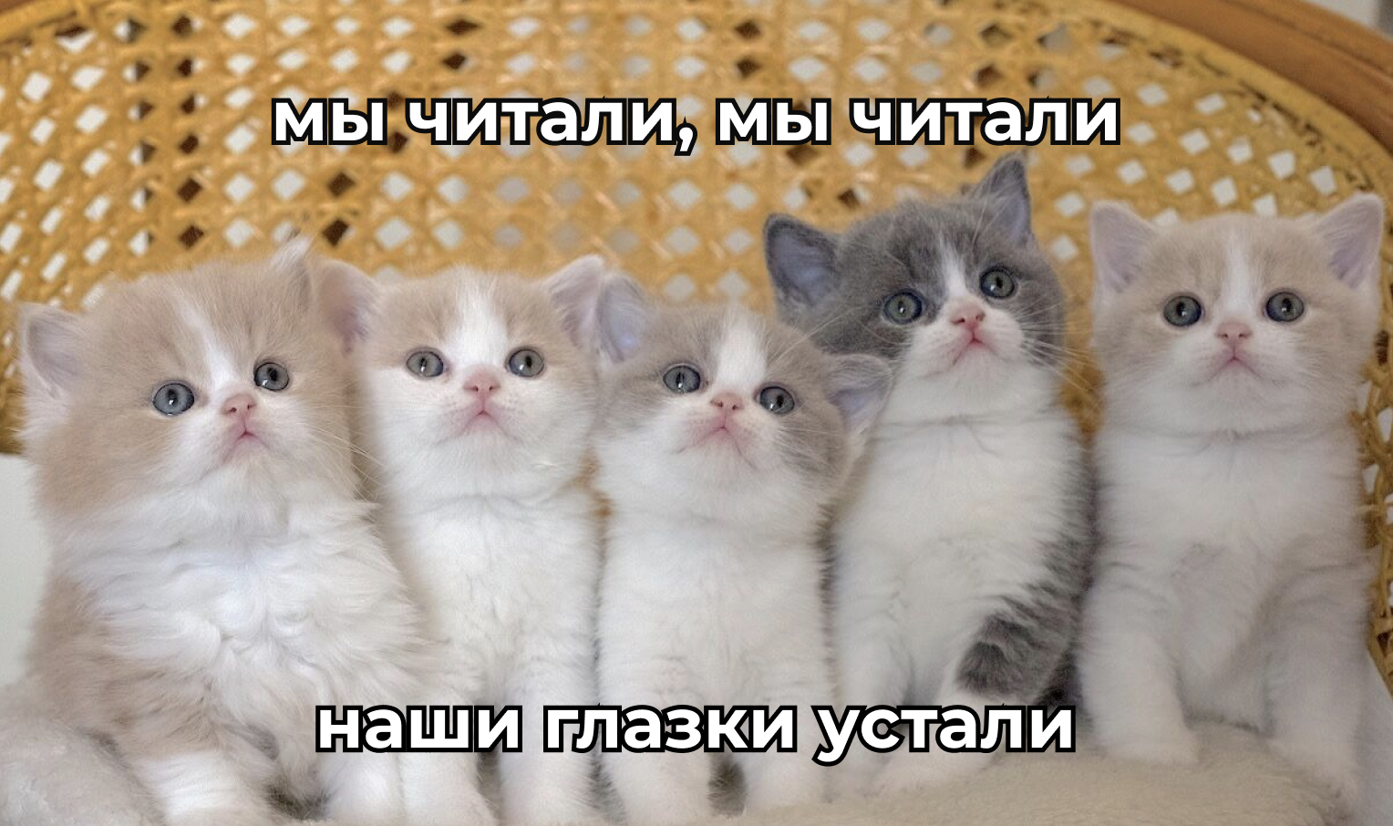 Что делать новичку в зале? Полное руководство по силовым тренировкам с нуля - 10 Что делать новичку в зале? Полное руководство по силовым тренировкам с нуля - 10