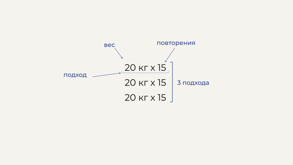Что делать новичку в зале? Полное руководство по силовым тренировкам с нуля - 12 Что делать новичку в зале? Полное руководство по силовым тренировкам с нуля - 12