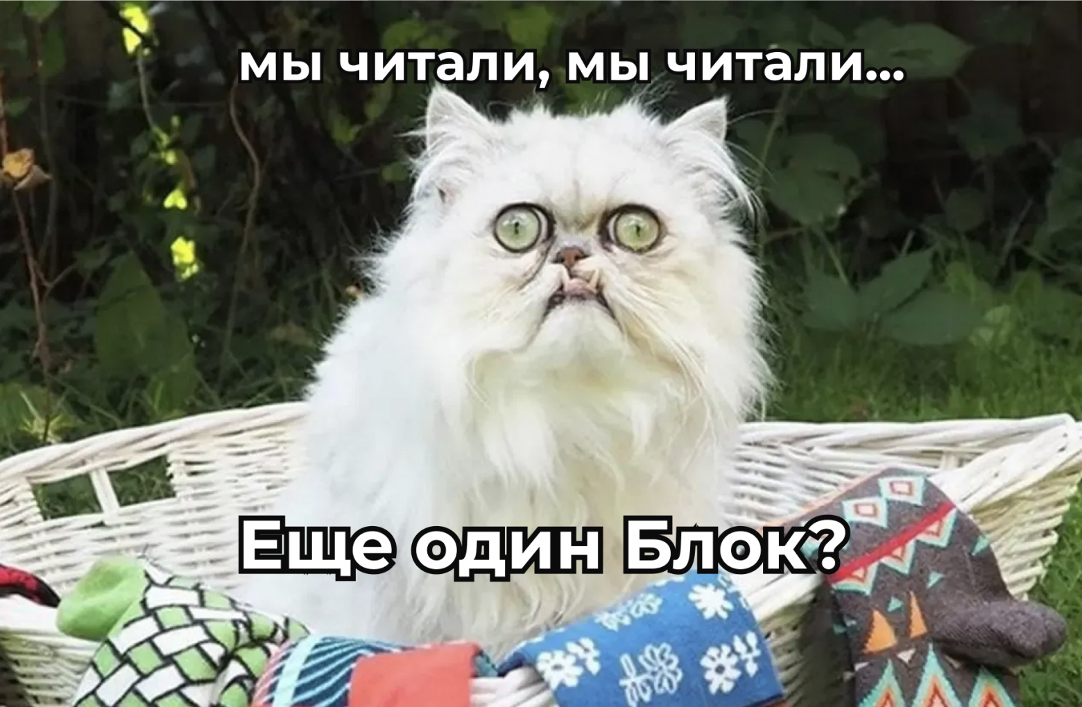 Что делать новичку в зале? Полное руководство по силовым тренировкам с нуля - 14 Что делать новичку в зале? Полное руководство по силовым тренировкам с нуля - 14
