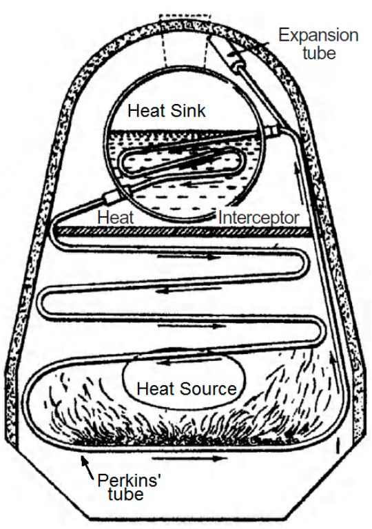 Картинка: Luis Felipe Ribeiro Romano, researchgate.net 