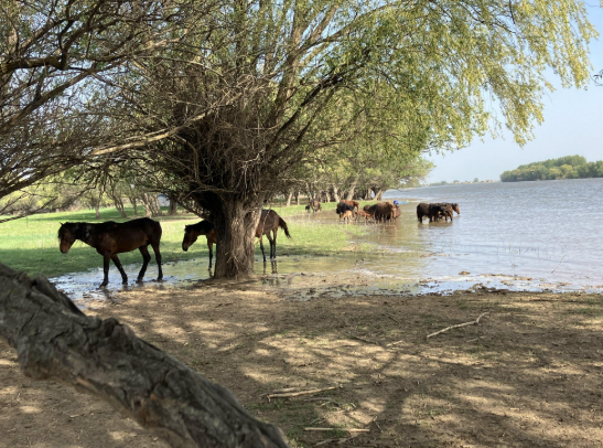 Мотопутешествие в Афганистан, часть 1 - 5