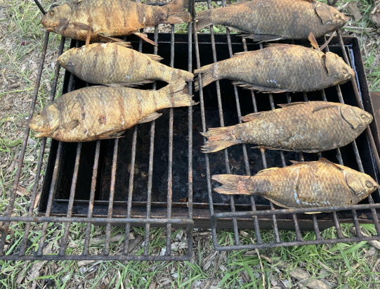 Мотопутешествие в Афганистан, часть 1 - 6