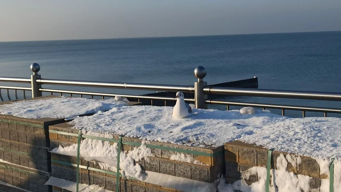 Зеленоградск в ледяном плену - 21
